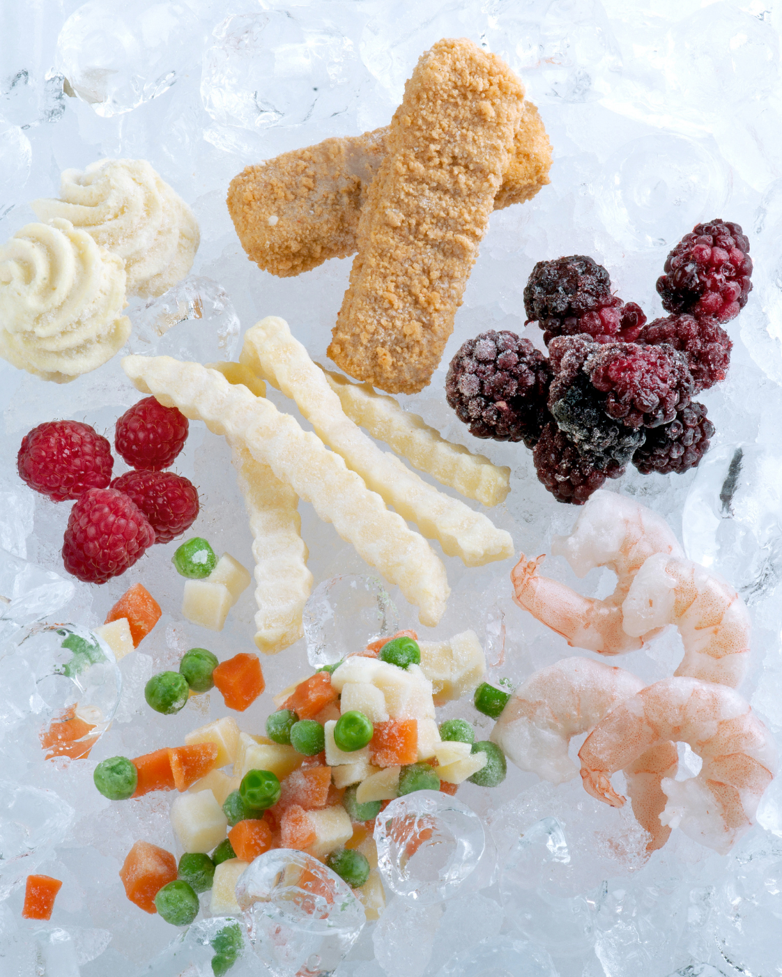 alimenti surgelati con abbattitore temperatura